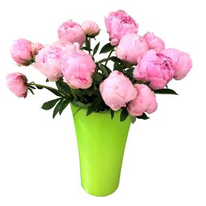 Bouquet 10 pivoines