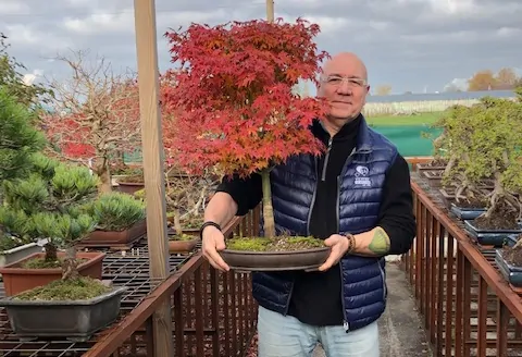 Quel pot à bonsai pour un pin ?